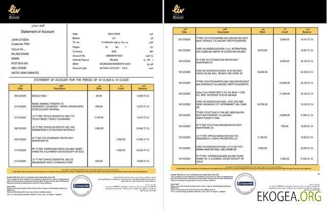 EAU Liv. Modèle de relevé de compte bancaire numérique Word et PDF, 2 pages